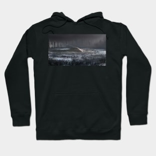 Winter in Central Park Hoodie